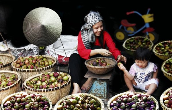 Lai Thieu Orchard