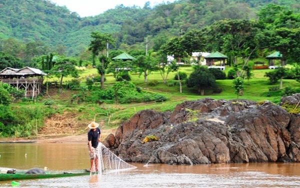 A local fishermen is checking his fishing traps in the Mekong River