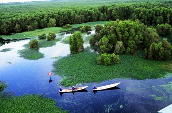 Tram Chim National Park is a green island of Dong Thap Muoi