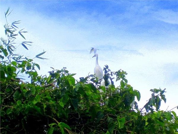 Picturesque scene