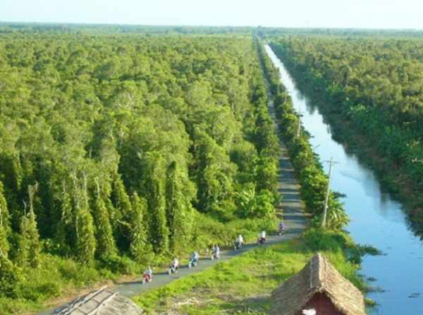 U Minh Ha National Park – Into a wildlife journey