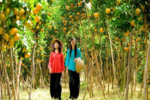 Exploring the local orchards