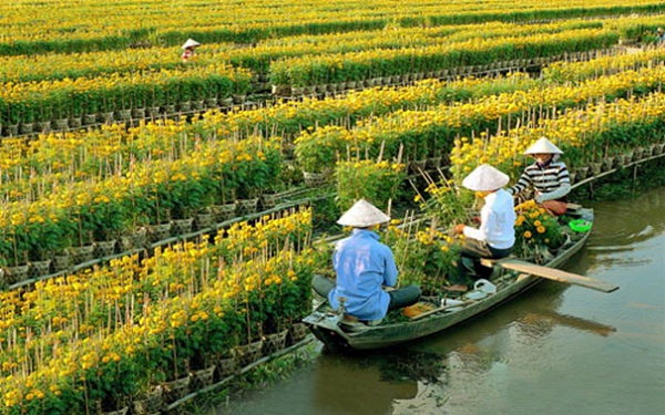 Mekong Delta tour – Cai Mon Orchard, Ben Tre