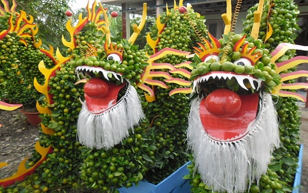 Unique bonsais shaped as dragons in Cai Mon