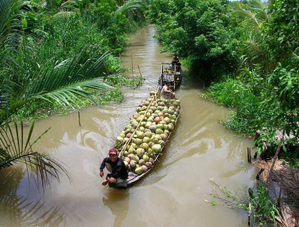 You can cruise on small beautiful canals