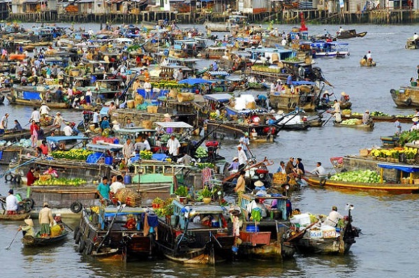 Various kinds of boats make the area extraordinary animated.