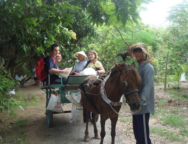 Horse-drawn carriage or local transport "Xe loi"