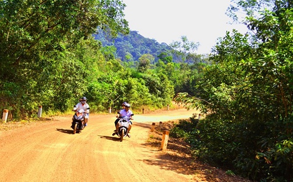 Riding a motorcycle cross the national forest – an amazing experience