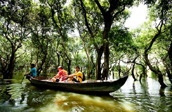 Tourist would like sailing through the mangroves and indigo forests