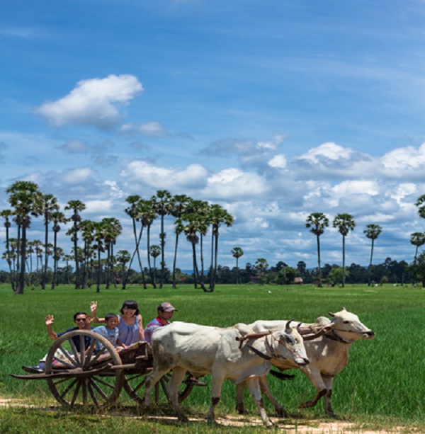 Tourists enjoy experiences with local people