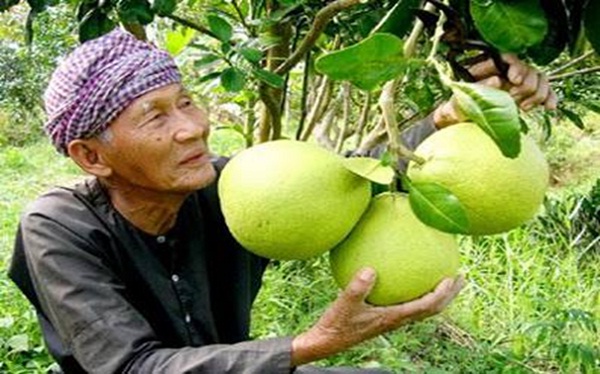 3 unique specialties of Vinh Long to enjoy during your Mekong Delta trip