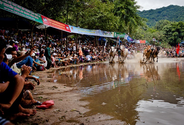 The festival attracts a lot of people coming to attend