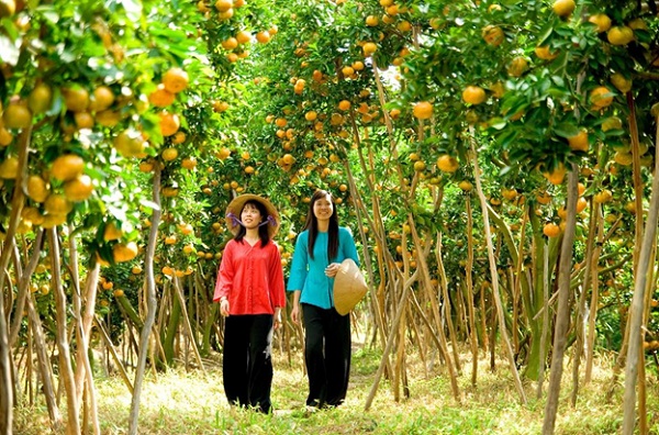 You are welcome to fruit orchards in the Southwest of Vietnam