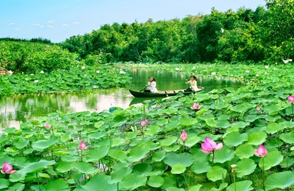 Here is a special field of lotus bloom seasons landscape for visitors to the romantic canoe fishing, picking lotus flooding season