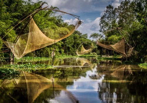 What to do in Mekong Delta Vietnam? – Travel guide 2024-2025
