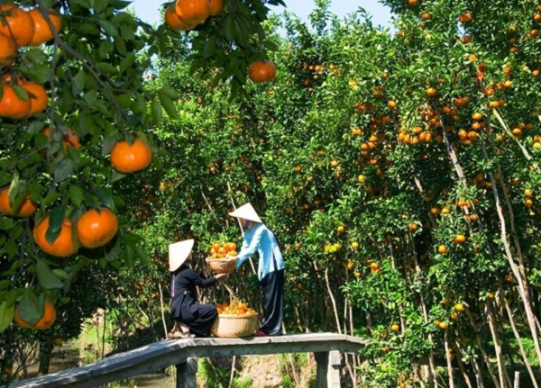Ben Tre