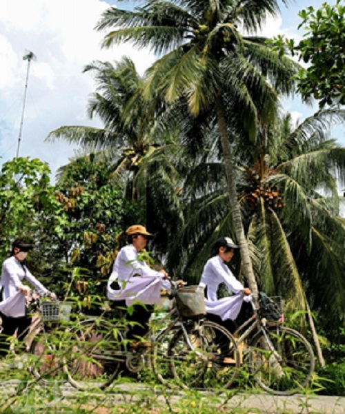 Cycling under tree shades in Ben Tre