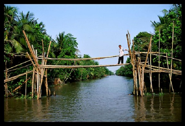 “Cau khi” (Monkey bridge)