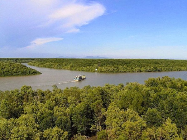 Can Gio Mangrove Forest, Vietnam