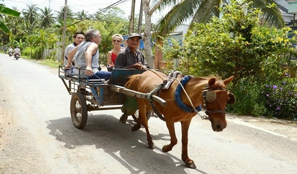 Horse riding