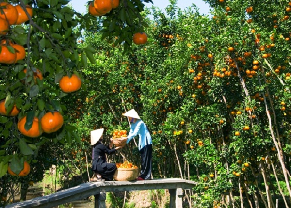 Mekong Delta