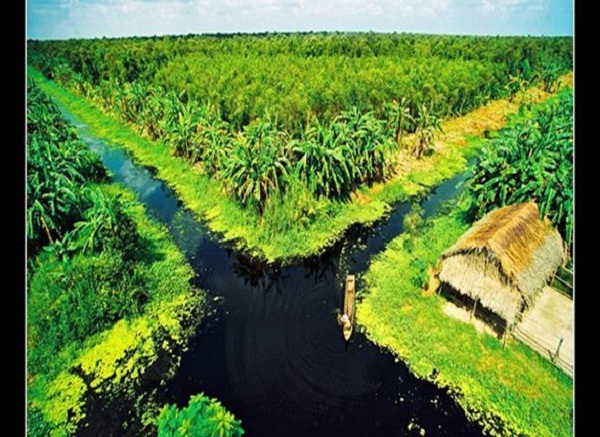 U Minh Thuong National park