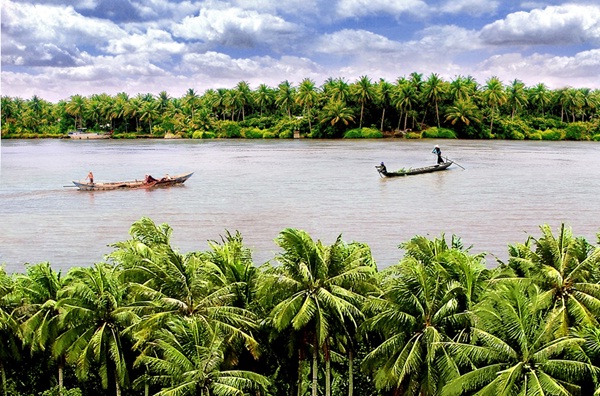 Ben Tre is covered in coconut trees