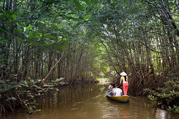 Can Gio mangrove forest