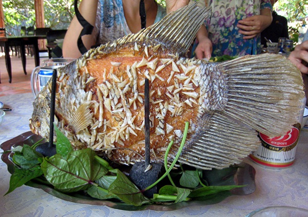 Delicious meal during your trip