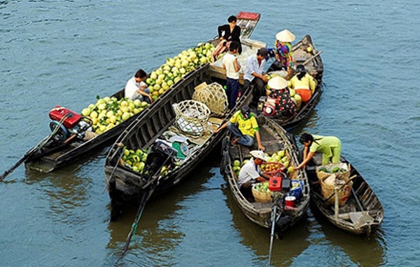 Tour in the Mekong Delta