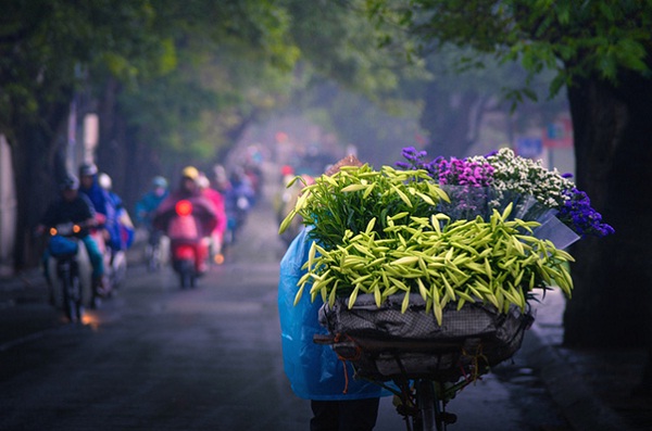 Flower on two-wheel bicycle