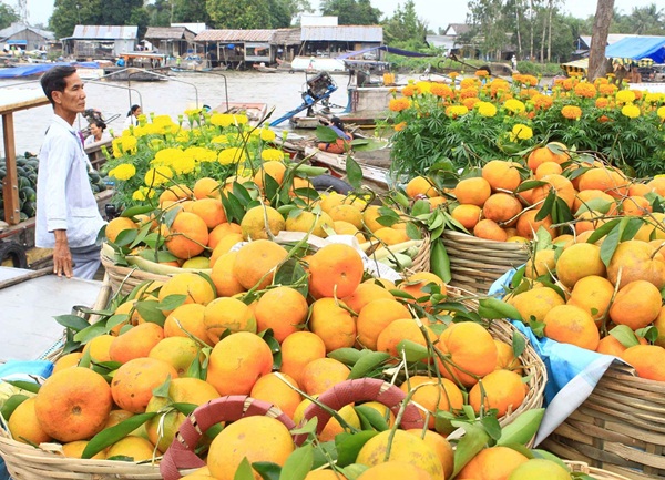 Fruits which you can see when exploring Mekong delta by boat are being sold