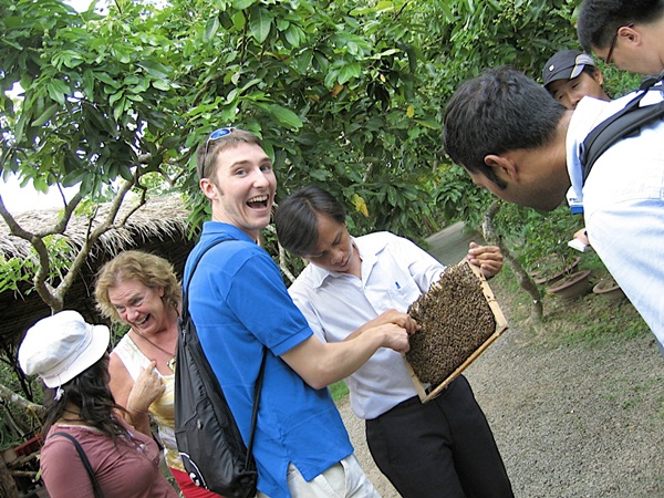 Honeybee keeping in Ben Tre