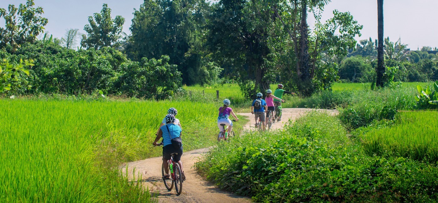 Discover the countryside by bicycle 