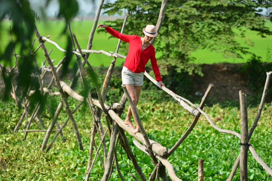 Don't you dare to cross this monkey bridge