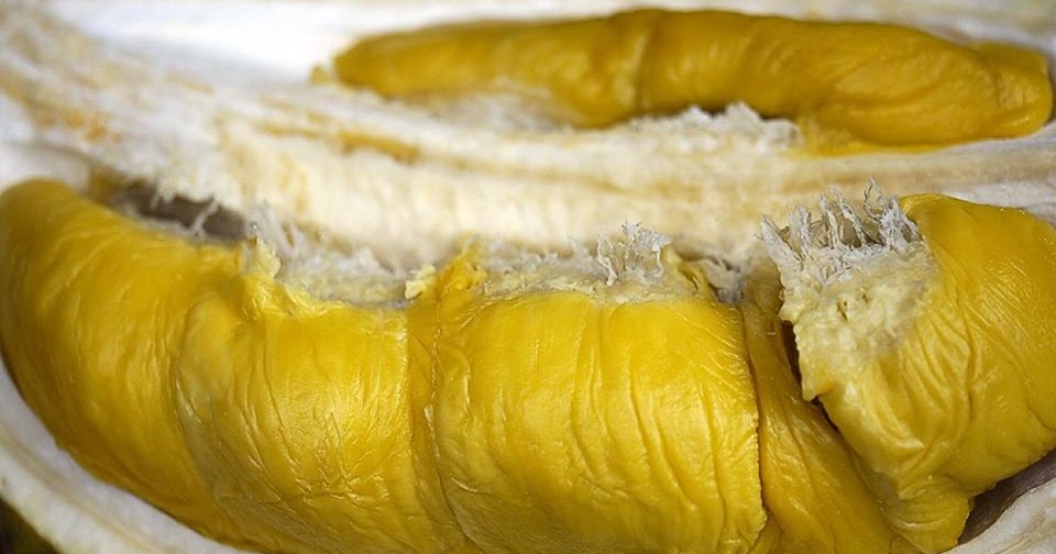 Durian