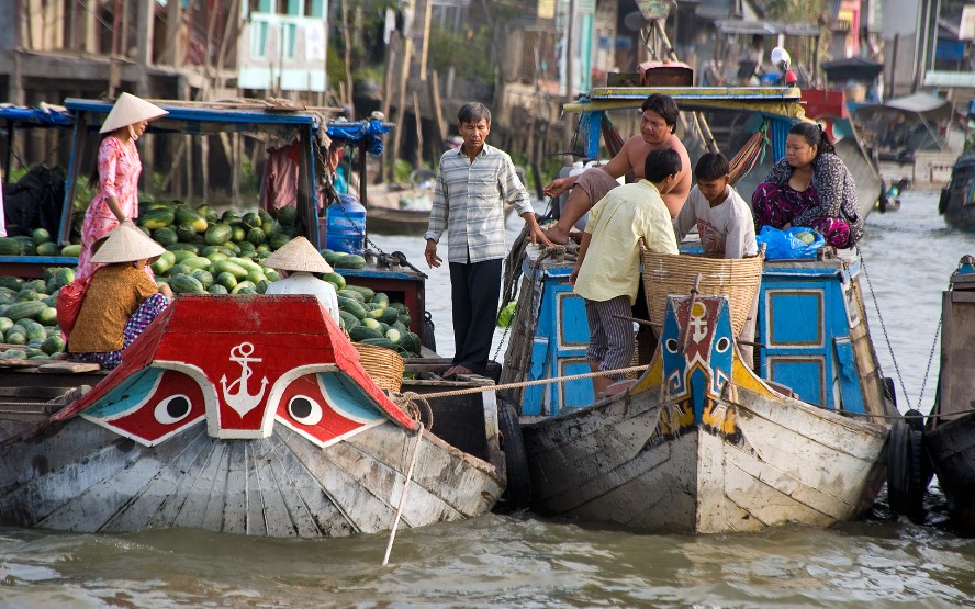 Houses in the Mekong Delta