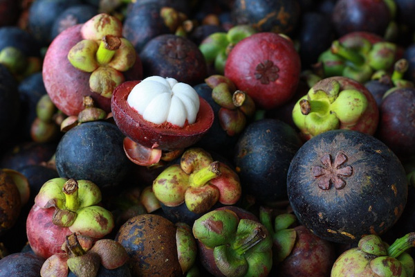 Mangosteen