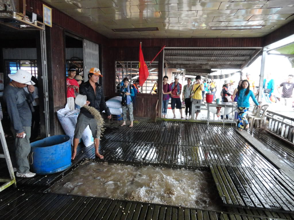 The men feed fishes in big floating house