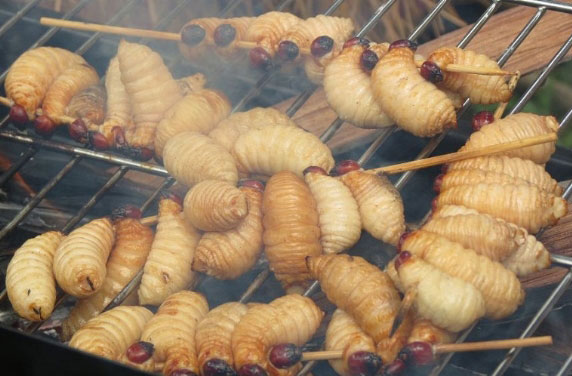 Mouth-watering grilled coconut worms
