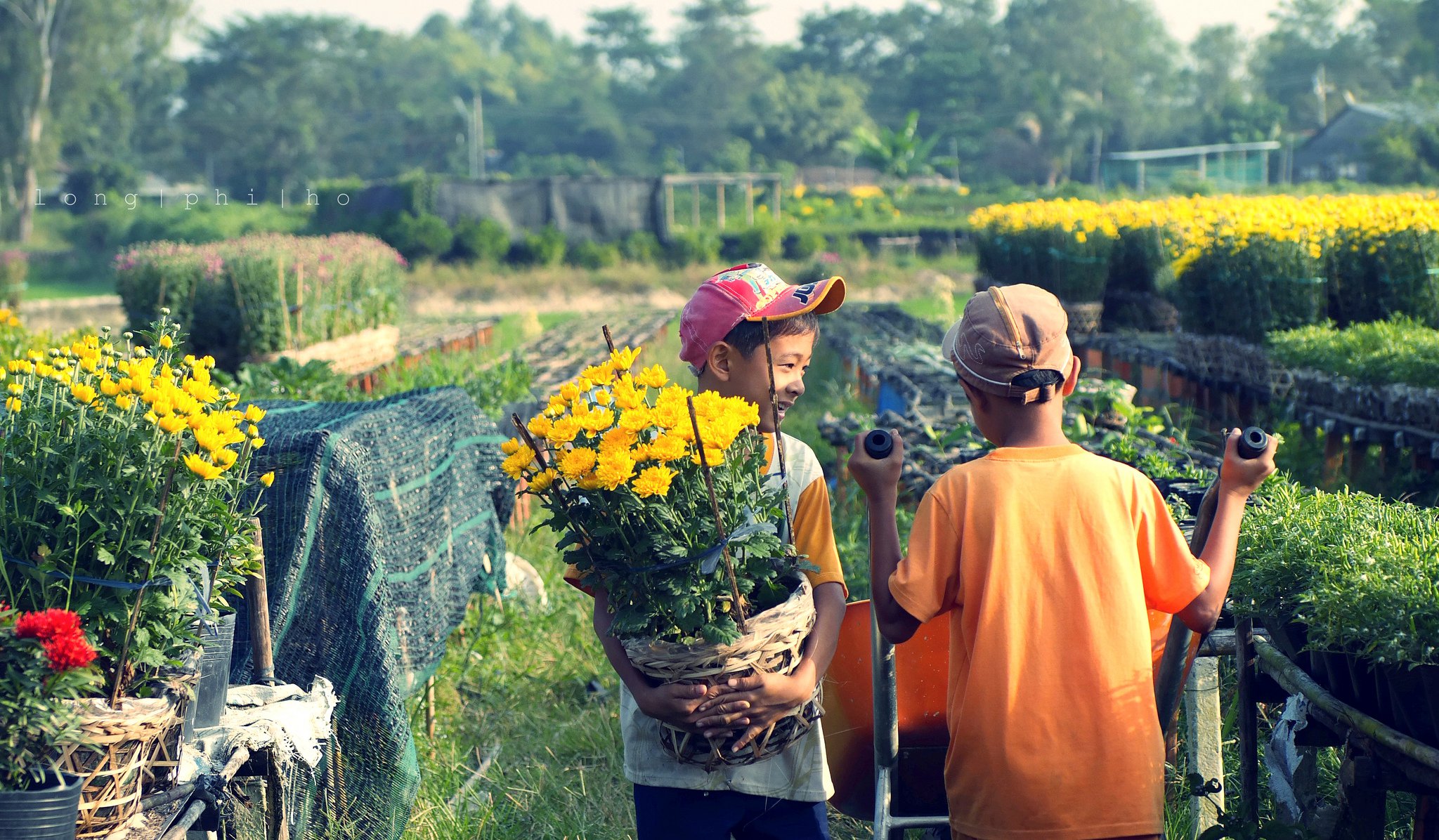 Children help their family take care of flowers in their garden 