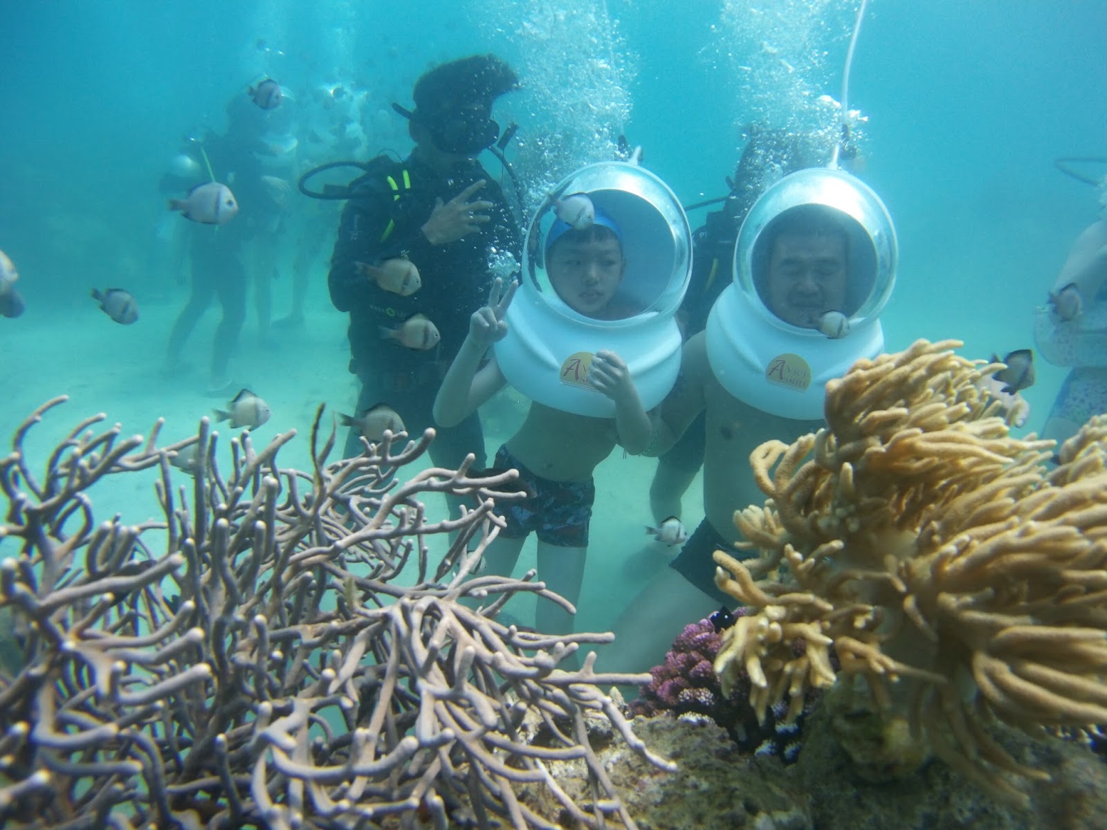 Going on foot under thGoing on foot under the sea on Cu Lao Chame sea on Cu Lao Cham