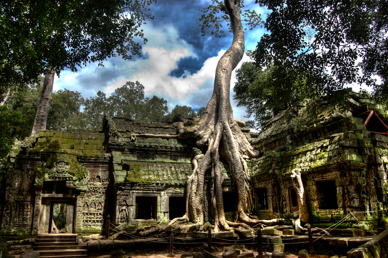 Ta Prohm with gigantic roots 