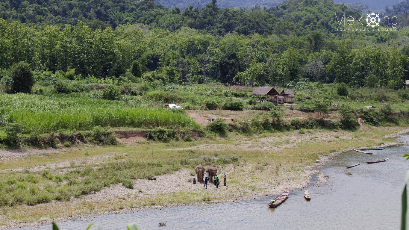 Elephants and handlers on a shallow gravel riverbank, with wooden boats and thatched huts below green hills in Laos