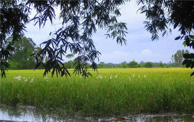 Bang Lang Stork Sanctuary