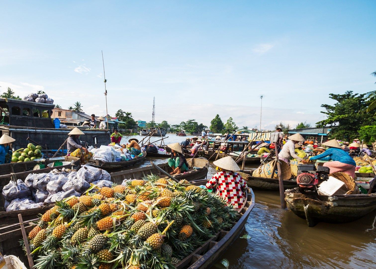 Various tropical fruits in floating market Mekong Delta