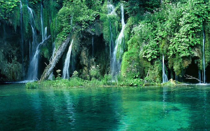 Cuc Phuong National Park in Ninh Binh