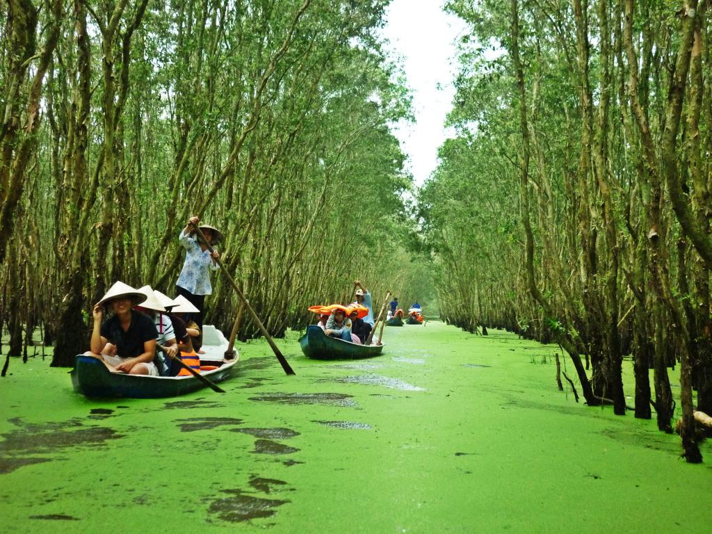 Travelers are going boating on the river in Mekong Delta