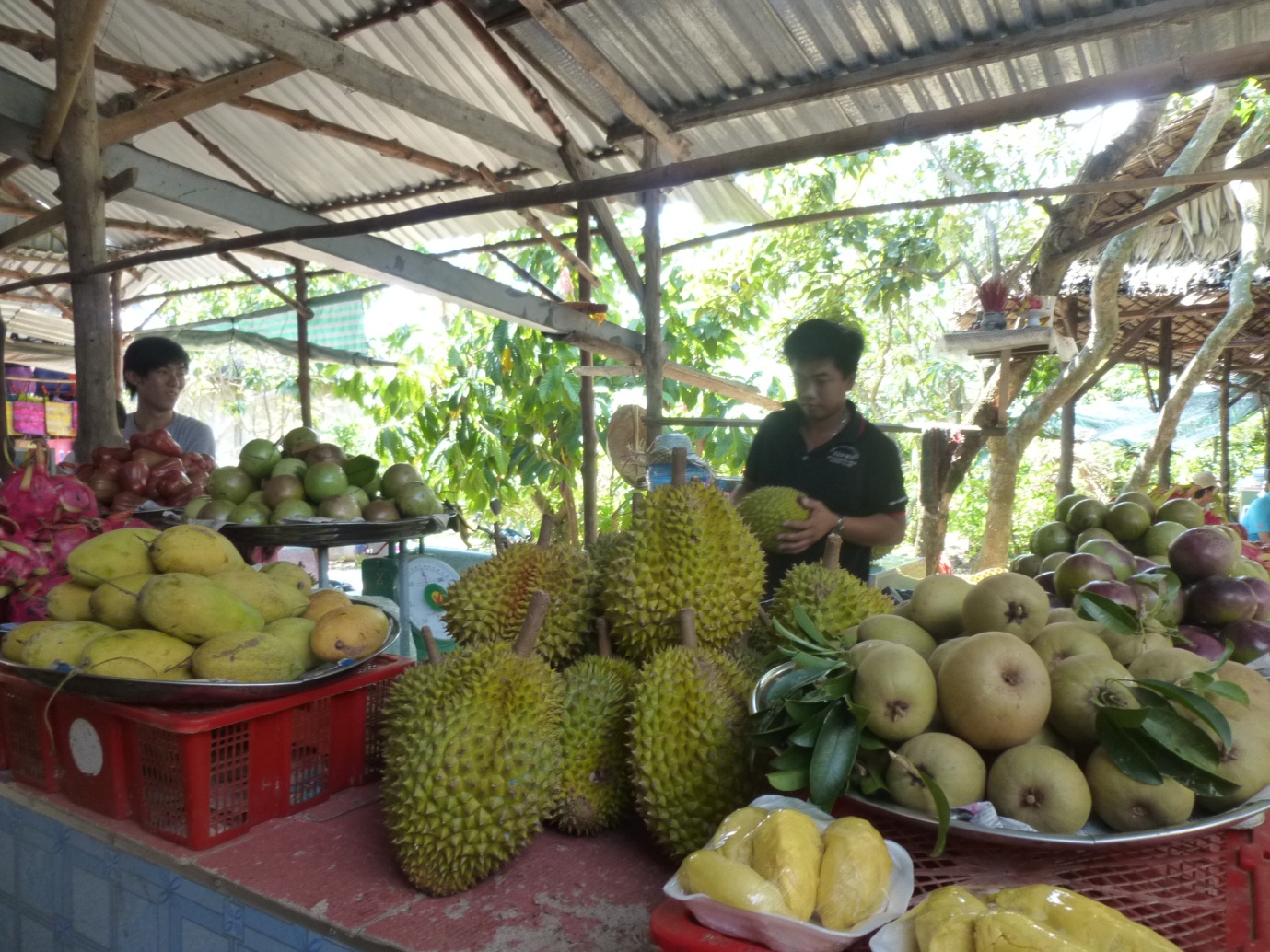 Tropical fruit in the Mekong Delta