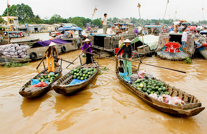 A visit to Cai Rang market to know more about waterlife